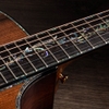 Đàn Guitar Taylor PS12CE Honduran Rosewood