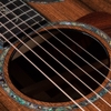 Đàn Guitar Taylor PS12CE Honduran Rosewood