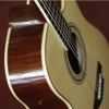 Đàn Guitar Acoustic Trần DHD23C