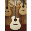 Đàn Guitar Acoustic Trần TA25C