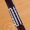 Đàn Guitar Classic Alhambra Iberia Ziricote CTW