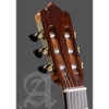 Đàn Guitar Classic Alhambra Mengual & Margarit Flamenca Cypress/Indian Rosewood