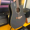 Đàn Guitar Acoustic Rosen R135