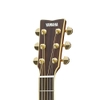 Đàn Guitar Acoustic Yamaha LL6M