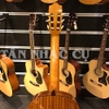 Đàn Guitar Classic Cordoba C5SP