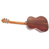 Đàn Guitar Cordoba 45CO Red Cedar / Cocobolo