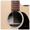 Đàn Guitar Acoustic Martin GPCX2E Rosewood