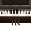 Đàn Piano Điện Roland HP503