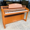 Đàn Pianoi Điện Kawai PW9C