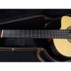 Đàn Guitar Classic Takamine DMP370NC