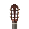 Đàn Guitar Cordoba 45CO Red Cedar / Cocobolo