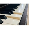 Đàn Piano Điện Yamaha SCLP7450