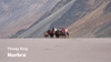 tour-ladakh-9-ngay-8-dem-ha-noi-delhi-ladakh-thai-an-travel