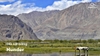 tour-ladakh-9-ngay-8-dem-ha-noi-delhi-ladakh-thai-an-travel