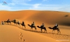 tour-dubai-4-ngay-3-dem-kham-pha-ve-dep-sa-mac-safari