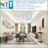 NẸP NHÔM CHỮ T