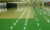 Sơn Epoxy