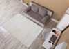 Thảm Trải Sofa N0003