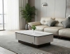 Bàn Sofa Mặt Đá 485S