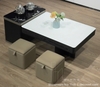 Bàn Sofa Nhập Khẩu 496S