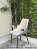 Ghế Ăn Hiện Đại 497S