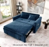 Ghế Giường Sofa 113T