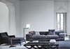 Sofa Băng 1251T