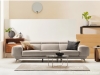 Sofa Băng Đẹp Giá Rẻ 4160S