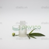 vo-chai-thuy-tinh-dung-tinh-dau-phun-mo-15ml