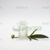 vo-chai-thuy-tinh-dung-tinh-dau-phun-mo-15ml