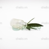 vo-chai-thuy-tinh-dung-tinh-dau-phun-mo-15ml