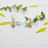vo-tuyp-nhua-trang-tron-nap-van-15ml-20ml-t-21