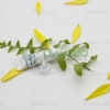 vo-tuyp-nhua-trang-nap-van-7g-t-22