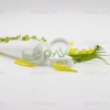 tuyp-nhua-tron-nap-nhua-50-100ml-t-01