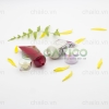 vo-tuyp-nhua-dung-my-pham-80ml-t-11