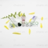 vo-tuyp-nhua-nap-nhua-acrylic-10ml-15ml-20ml-t-13