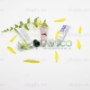 vo-tuyp-nhua-nap-nhua-acrylic-10ml-15ml-20ml-t-13