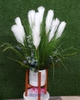 Hoa lau trắng