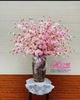 Hoa giả-Bình hoa anh đào râu