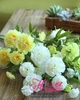 Hoa cẩm chướng mẫu 2 - HC244