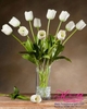 Bình hoa tulip trắng - Hoa giả HCB212