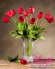 Hoa tulip đỏ - Hoa lụa HCB214