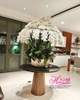 Hoa giả-Chậu hoa phong lan trắng