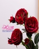 Cành hoa hồng pháp 3 bông 2 nụ
