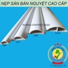 Nẹp sàn bán nguyệt D80x22x1200mm