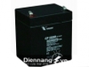 Ắc quy Vision 12V-5Ah CP1250