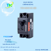 CẦU GIAO TỰ ĐỘNG AN TOÀN - MCCB2P1E-DN/20A
