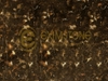 Dark Emperador - Hoa vàng