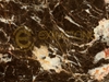 EXIM Marble - Rosa