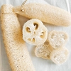 SPONGE LOOFAH LOOFAH NATURAL EXFOLIATING BLEACHED LUFFA